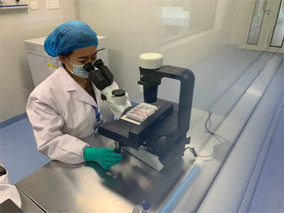 蓄能“創(chuàng)新力” 細(xì)胞技術(shù)研發(fā)與應(yīng)用的突破與前景