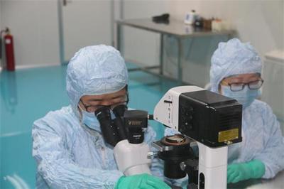 解碼生命密鑰 廊坊康寶匯泰以“種子細(xì)胞”技術(shù)領(lǐng)航醫(yī)學(xué)前沿